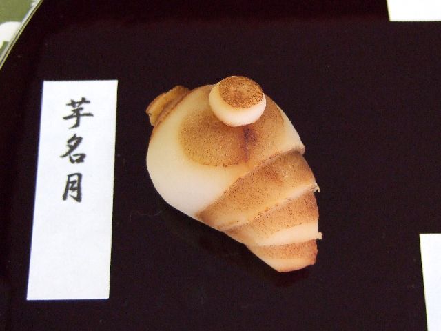 𖼌