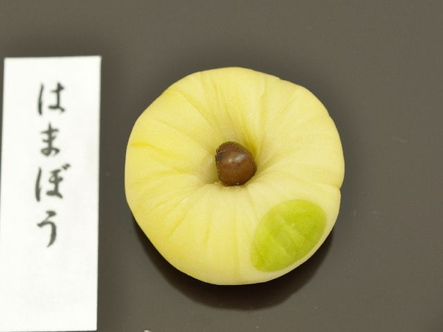�͂܂ڂ�