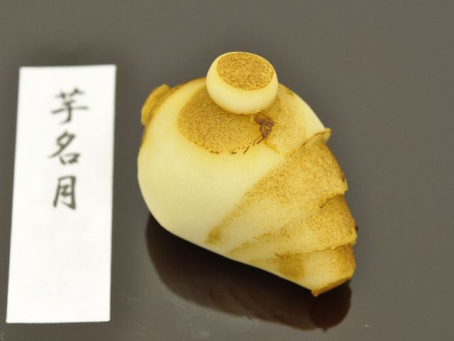 𖼌