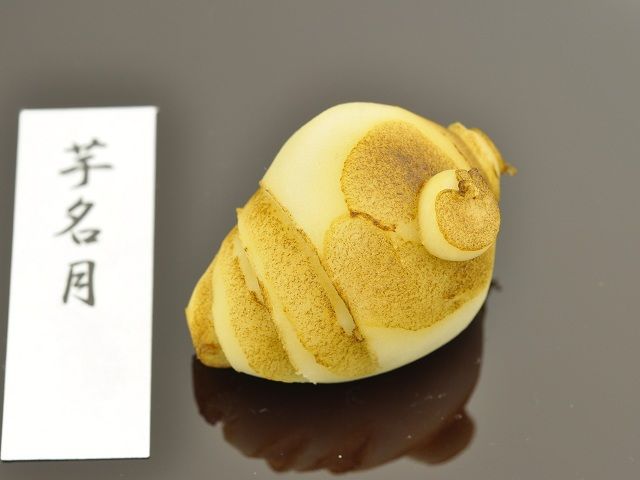 𖼌